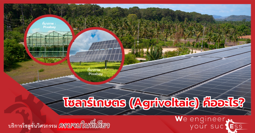 โซลาร์เกษตร (Agrivoltaic) คืออะไร
