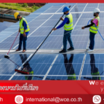 Professional Solar Panel Cleaning