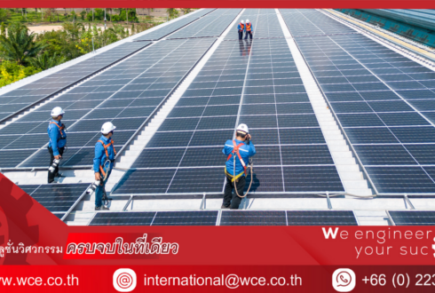 Why You Should Clean Your Solar Panels Regularly?