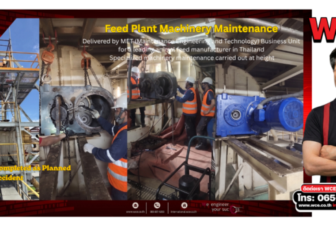 Machinery Maintenance in Animal Feed Plants: Maintenance Principles, Work at Height, and Safety Standards
