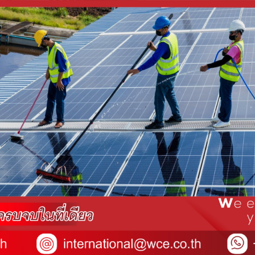 Professional Solar Panel Cleaning