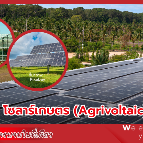 โซลาร์เกษตร (Agrivoltaic) คืออะไร